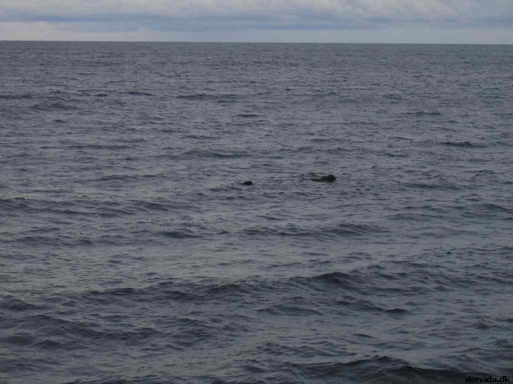 * Image 73