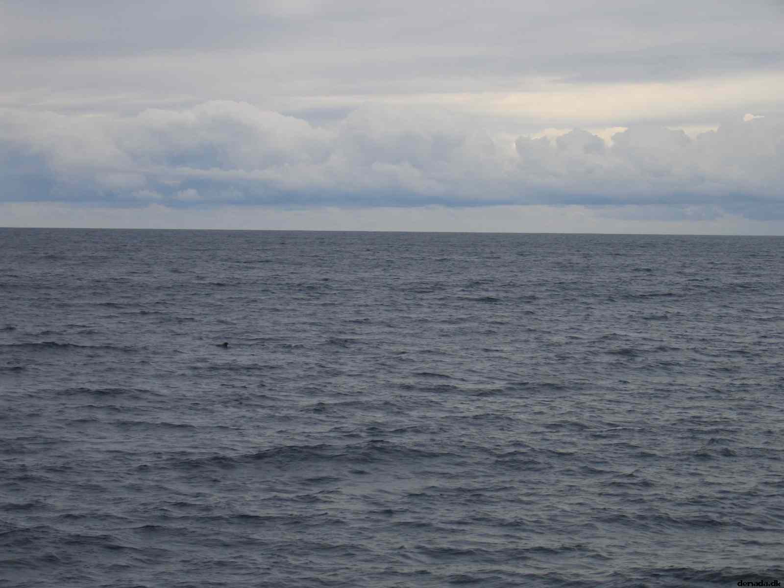 * Image 71