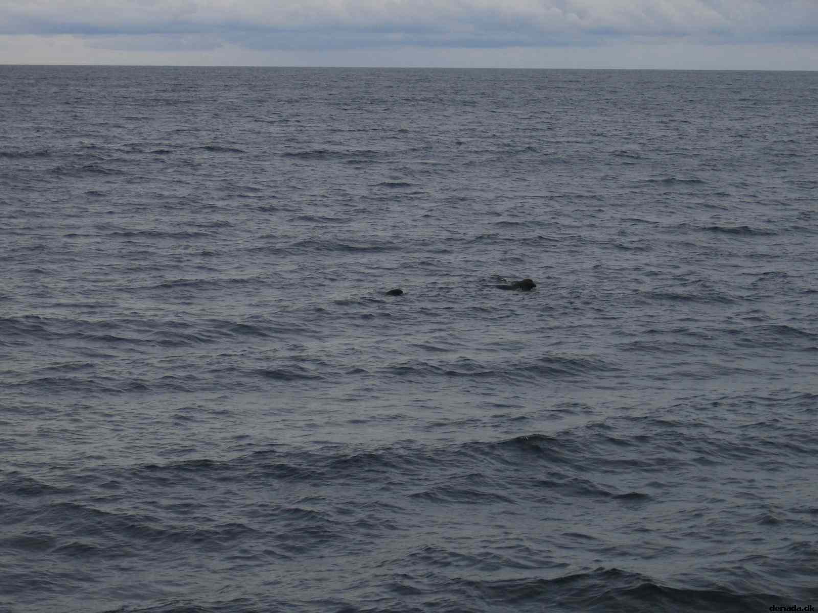 * Image 73