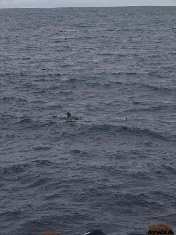 * Image 75