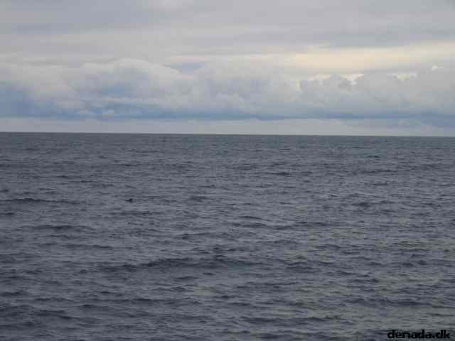 * Image 71
