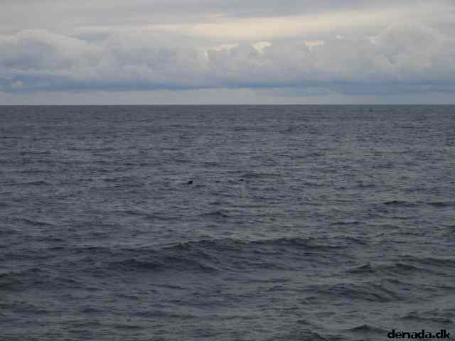 * Image 72