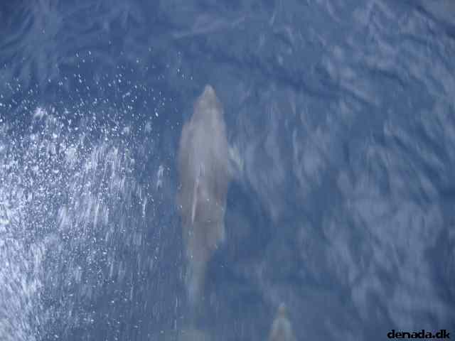 * Image 80