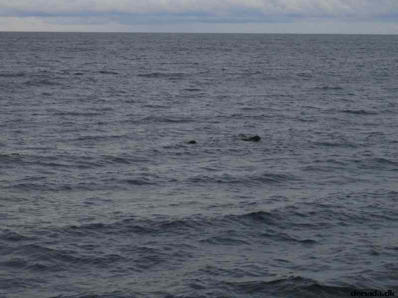* Image 73