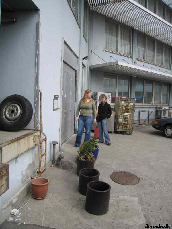 * Image 30