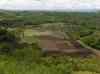 HPIM2095.JPG - 2007:05:22 04:31:19