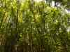HPIM2109.JPG - 2007:05:22 05:37:34