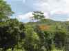 HPIM2124.JPG - 2007:05:22 06:10:53