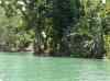 HPIM2125.JPG - 2007:05:22 06:11:48