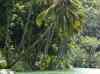 HPIM2130.JPG - 2007:05:22 06:15:16