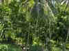 HPIM2131.JPG - 2007:05:22 06:15:39