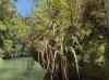 HPIM2146.JPG - 2007:05:22 06:24:46