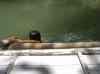 HPIM2152.JPG - 2007:05:22 06:27:15