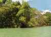 HPIM2160.JPG - 2007:05:22 06:34:15