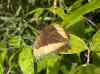 HPIM2176.JPG - 2007:05:22 08:54:44