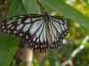 HPIM2180.JPG - 2007:05:22 08:57:10
