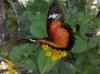 HPIM2181.JPG - 2007:05:22 08:57:59