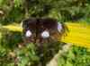 HPIM2187.JPG - 2007:05:22 09:00:09