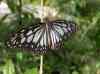 HPIM2188.JPG - 2007:05:22 09:03:38