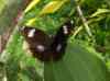 HPIM2190.JPG - 2007:05:22 09:05:04