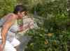 HPIM2192.JPG - 2007:05:22 09:05:33