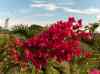 HPIM2205.JPG - 2007:05:22 09:21:11
