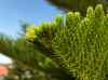 HPIM2210.JPG - 2007:05:22 09:29:10