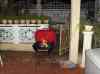 HPIM2218.JPG - 2007:05:22 12:48:00