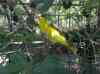 HPIM2223.JPG - 2007:05:23 04:16:02