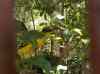 HPIM2224.JPG - 2007:05:23 04:16:11