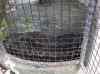 HPIM2226.JPG - 2007:05:23 04:16:52