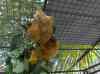 HPIM2239.JPG - 2007:05:23 04:25:47