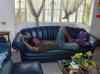 HPIM2253.JPG - 2007:05:24 02:32:54