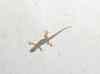 HPIM2272.JPG - 2007:05:25 16:33:00