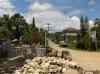 HPIM2278.JPG - 2007:05:25 10:17:48