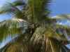 HPIM2469.JPG - 2007:05:28 09:45:41