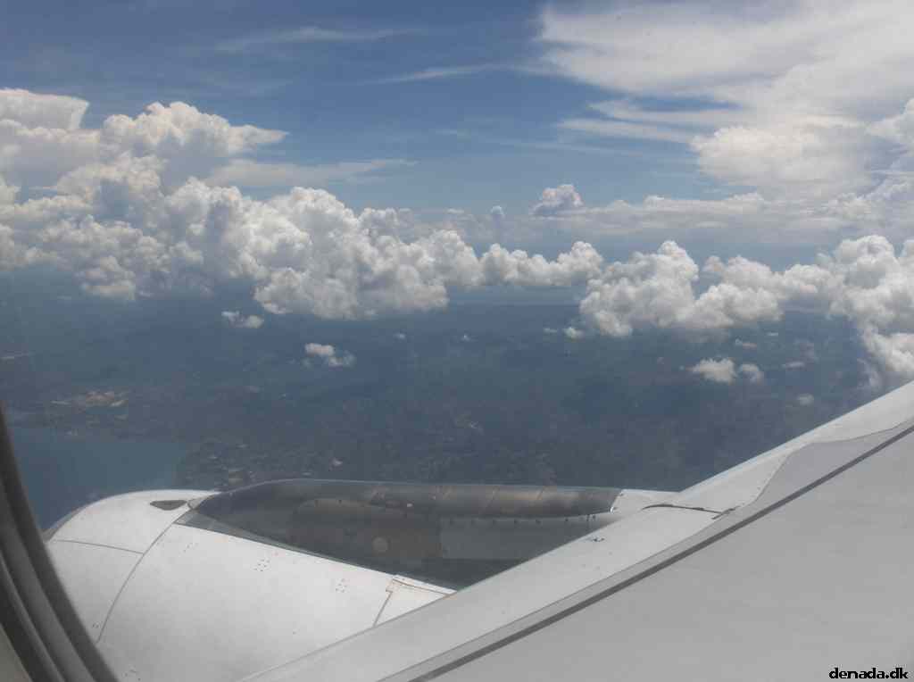 * Image 19