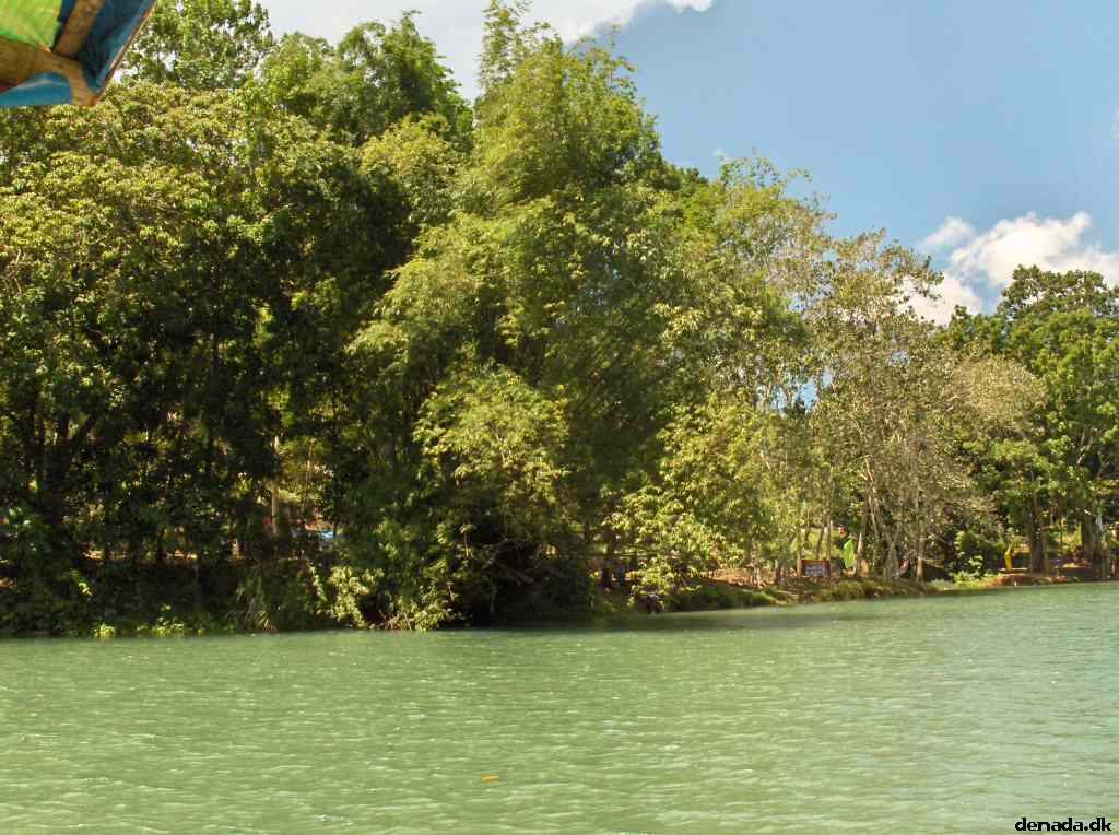 * Image 113