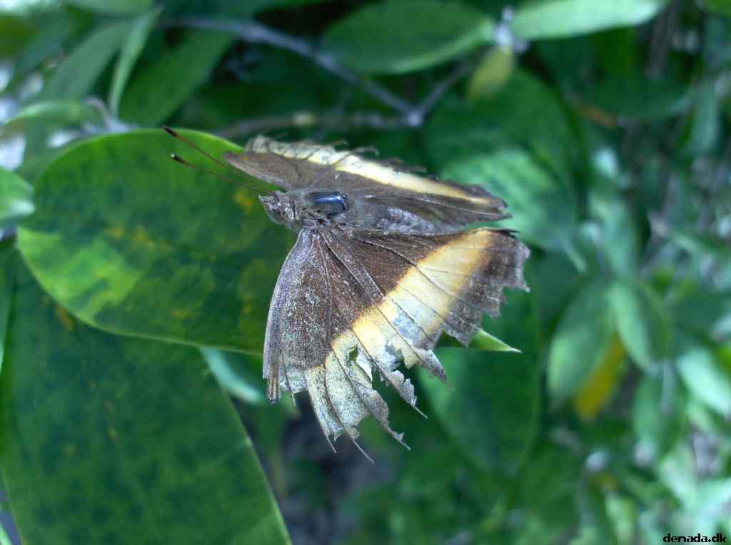 * Image 127