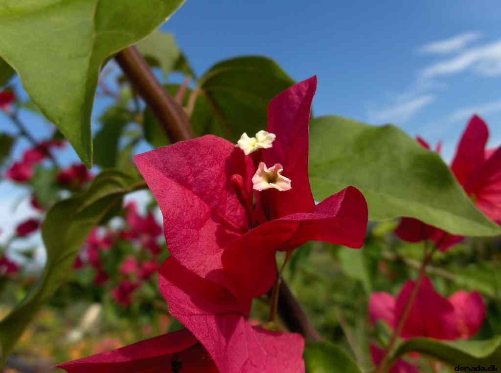 * Image 151