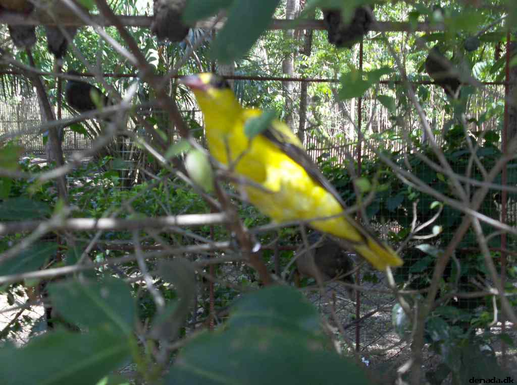 * Image 167