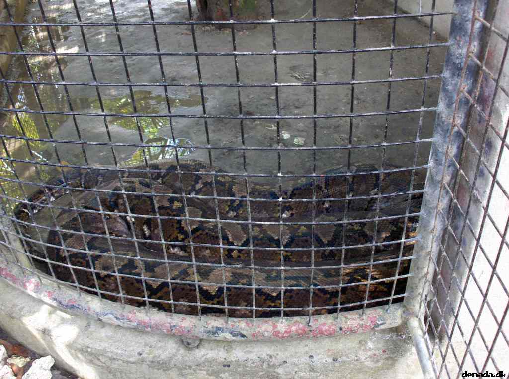 * Image 169