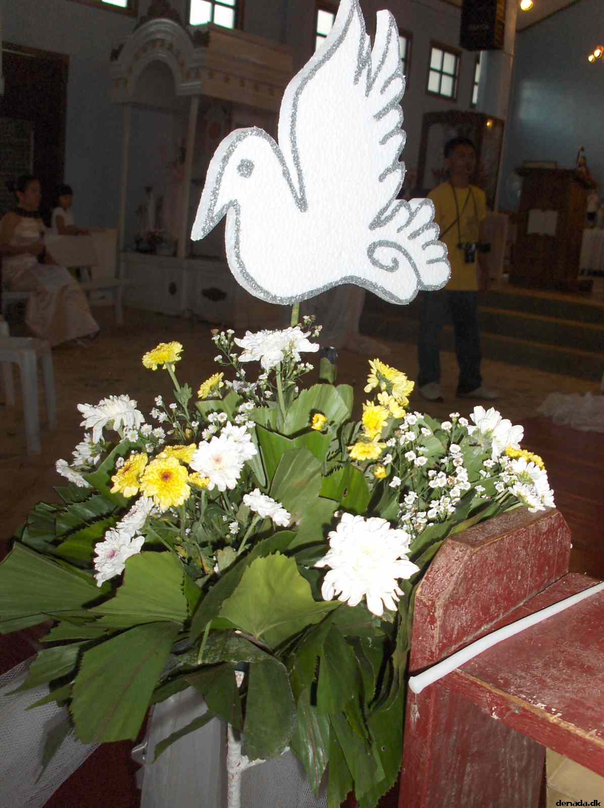 * Image 281