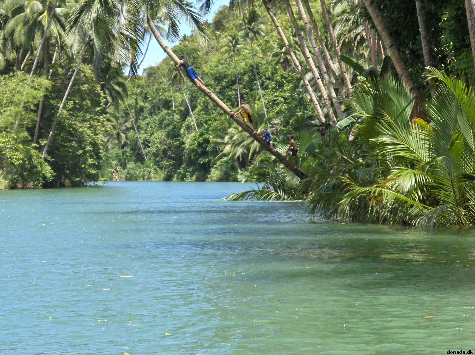 * Image 106