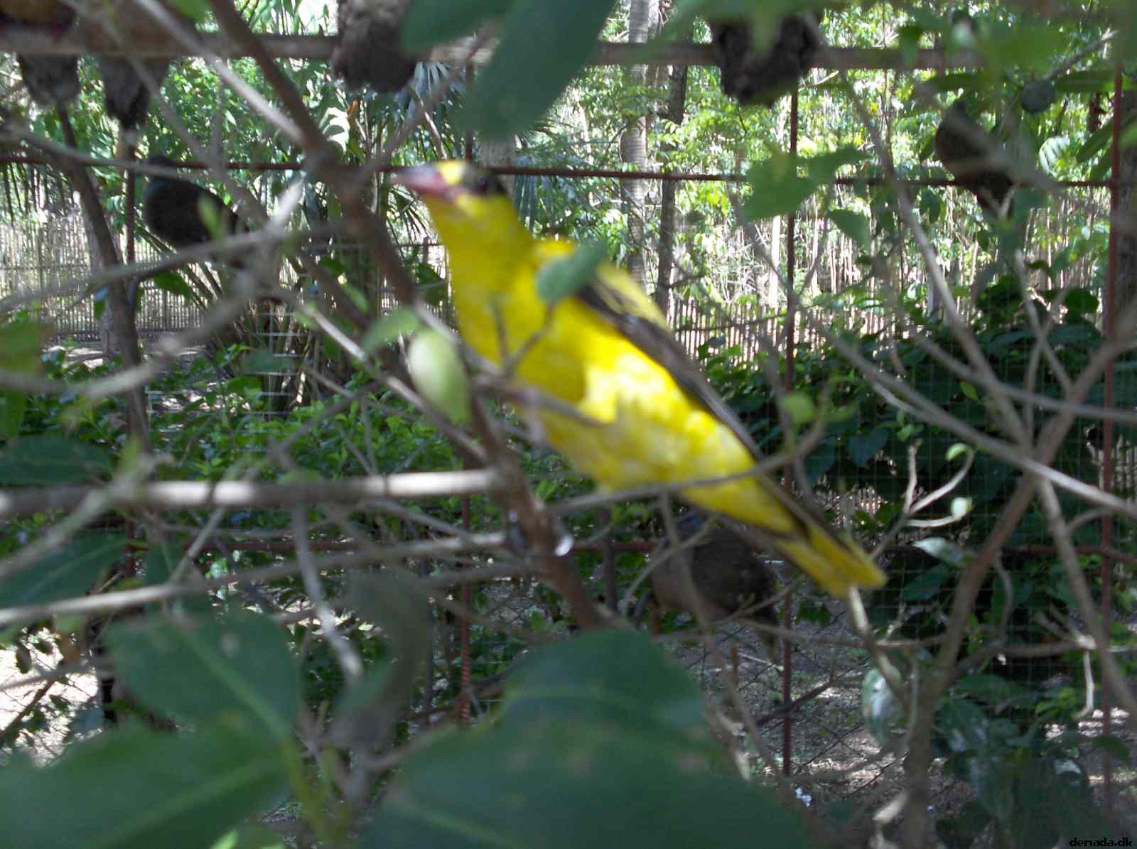 * Image 167