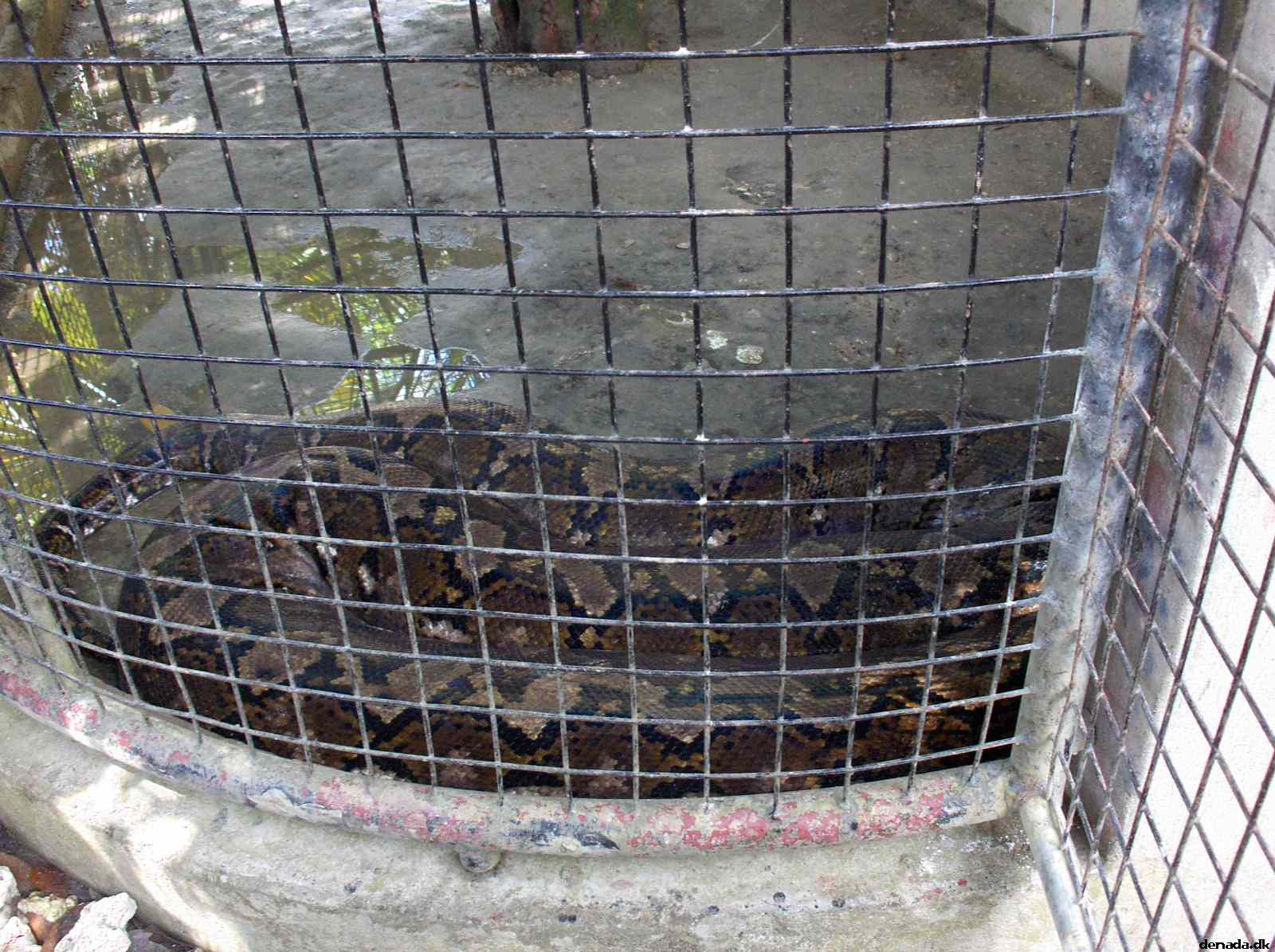 * Image 169