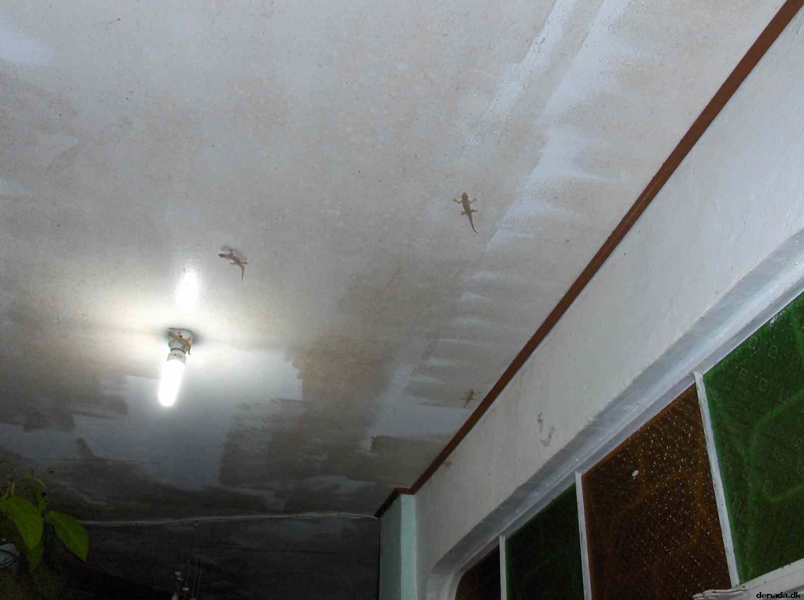 * Image 207