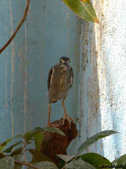 * Image 178
