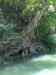 HPIM2145.JPG - 2007:05:22 06:24:38