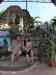 HPIM2211.JPG - 2007:05:22 10:08:59